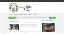 Desktop Screenshot of boyemder.com